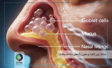 مخاط بینی تصویر شاخص